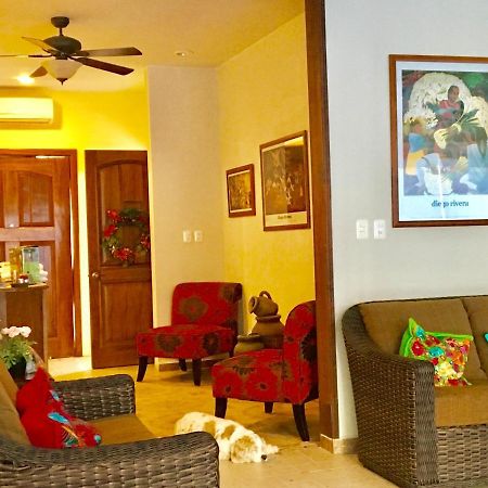 Casa Paloma Blanca Hostel Isla Mujeres Exteriör bild
